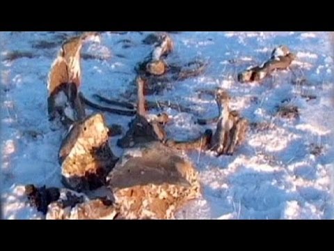 Rusya'da mucizevi mamut kalıntısı