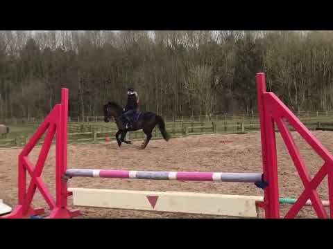 Rynys Black Jack flatwork