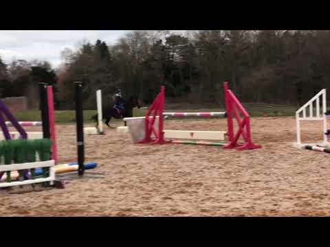 Rynys Black Jack schooling round 1m