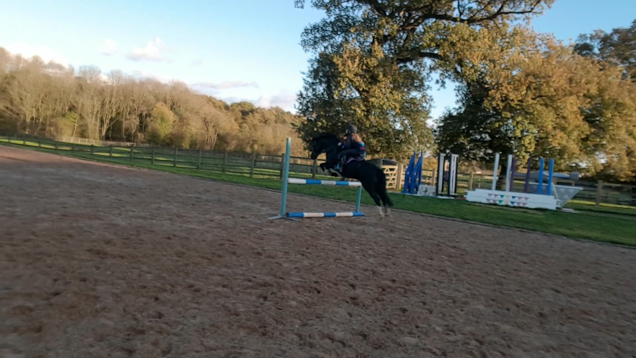 Rynys Black Jack training