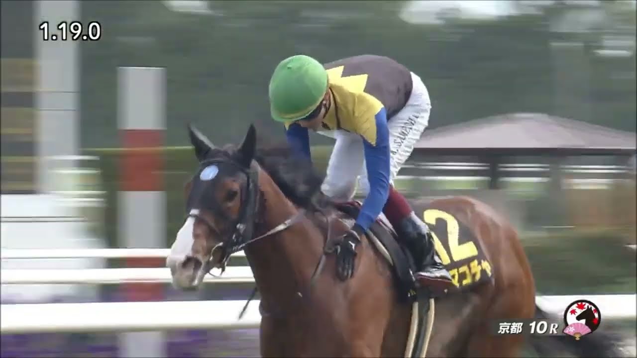 安土城S  　芝1400m (右 外) 　ママコチャ　牝4　54.0　鮫島克駿　2023.5.28　　出走馬：ビーアストニッシド、ビューティフルデイ、テンハッピーローズ、ミッキーブリランテ他
