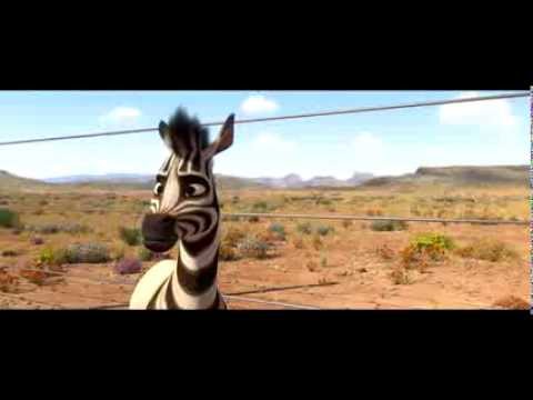 SA DVD RELEASE- IsiZulu  - Meet the Springboks (HD)