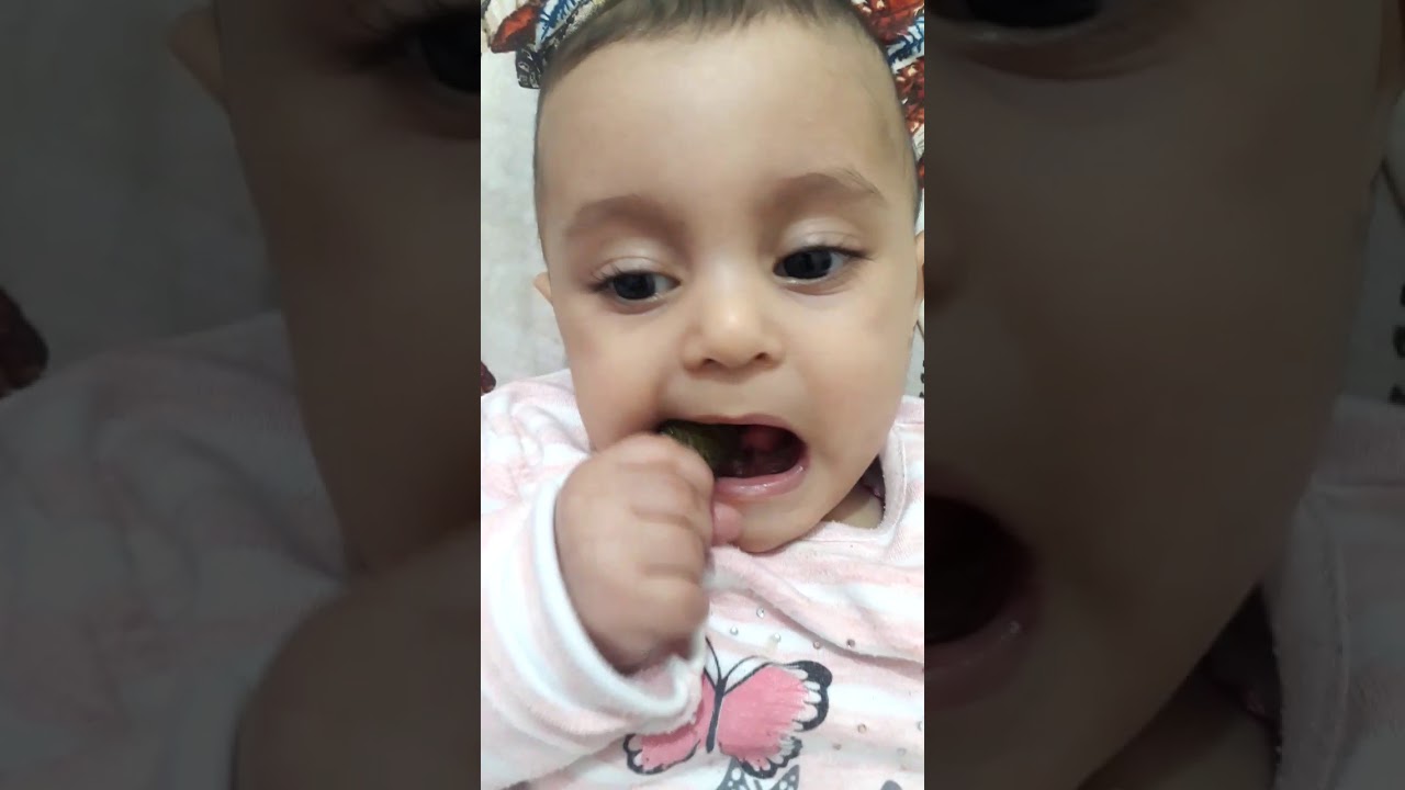 Salatalık turşusu