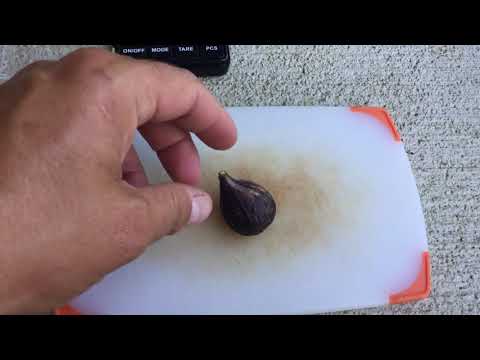 Sals Gene EL Fig Taste Test