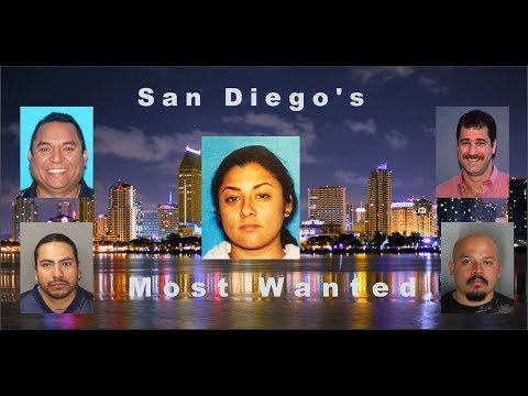 San Diego's Most Wanted