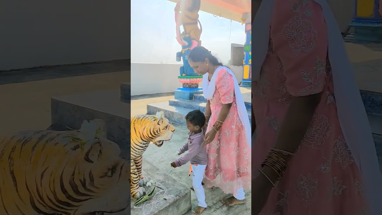 #sandhyavlogs #youtubeshorts #myson