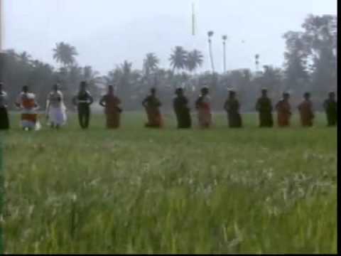 Sanghavi Bounce