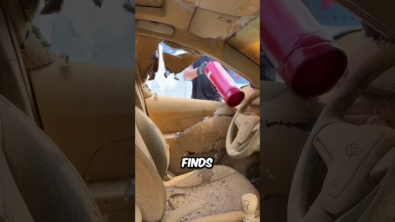 Satisfying Car Cleaning 😍