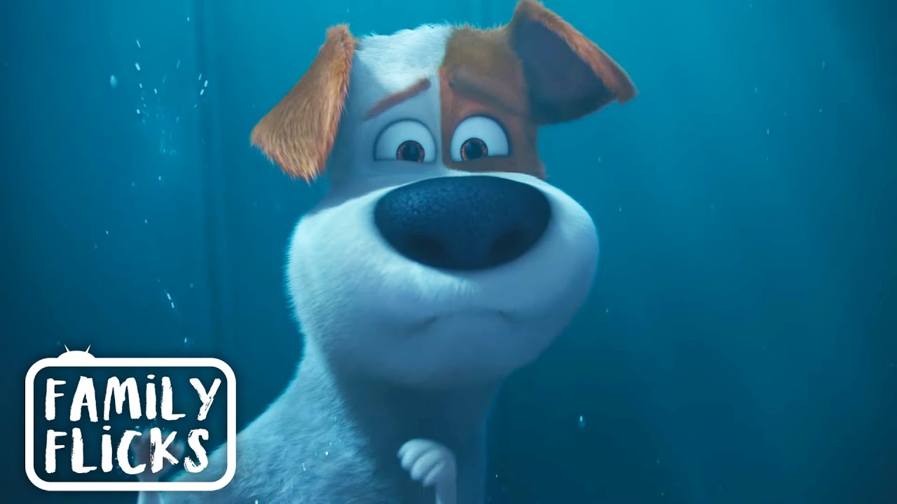Saving Duke's Life | The Secret Life Of Pets (2016) | Family Flicks