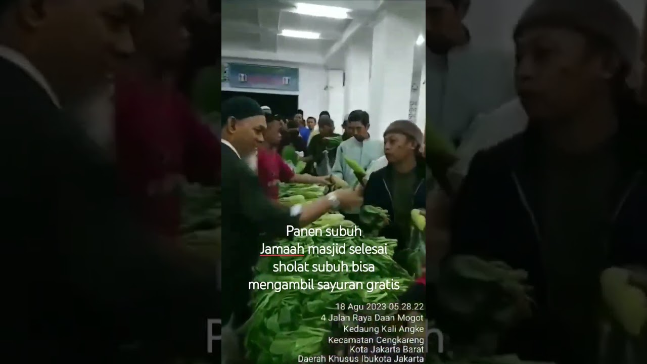 sayuran subuh|masjid uswatun hasanah