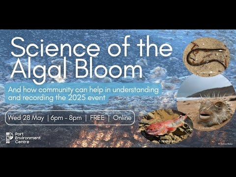 Science of the Algal Bloom - Webinar Recording