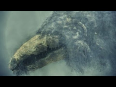 SCP-682 original and some new sounds