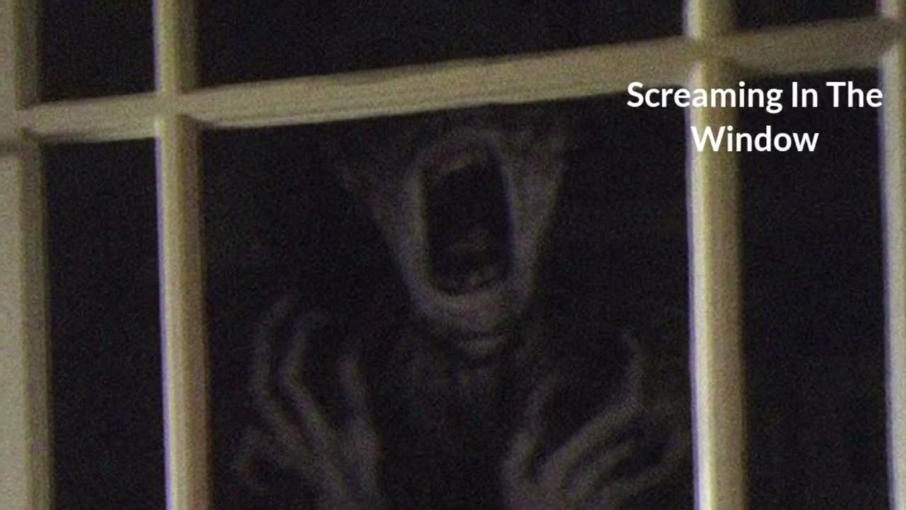 Screaming in the window sounds (Trevor Henderson)
