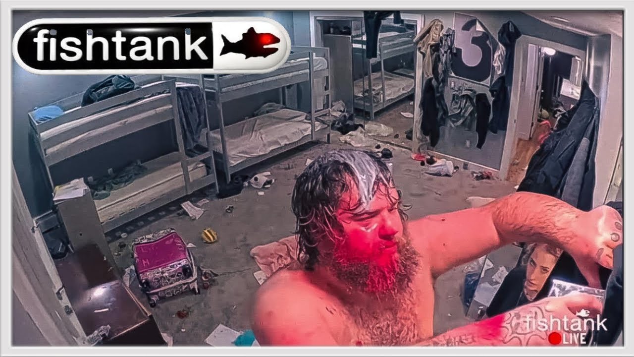 (SEASON 3) my personal favorite fishtank.live moments