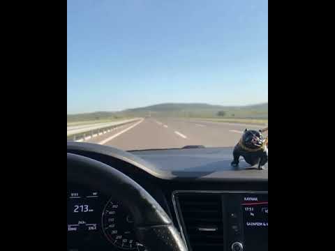 Seat Leon +210 Snap Gündüz