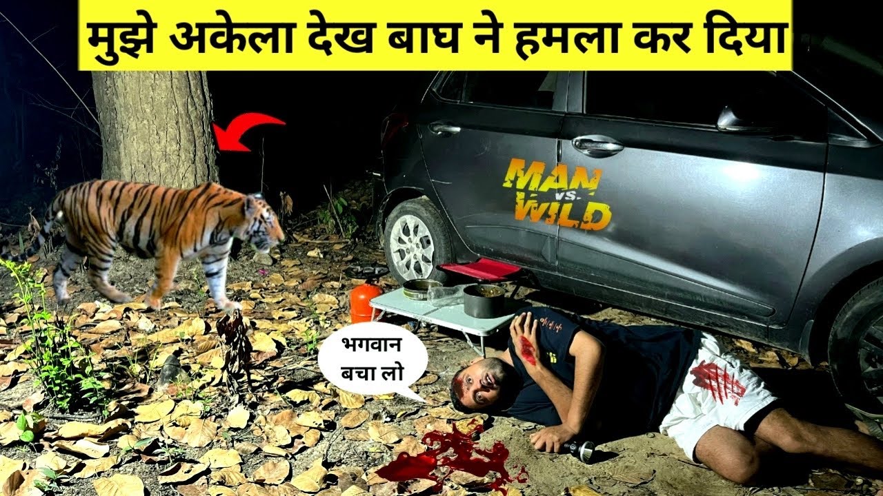 Seeing me alone, the tiger attacked me Solo Night Camping InDangerousForestJungleCampingVideo #ca...