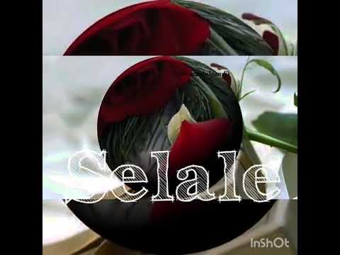 Selale adi