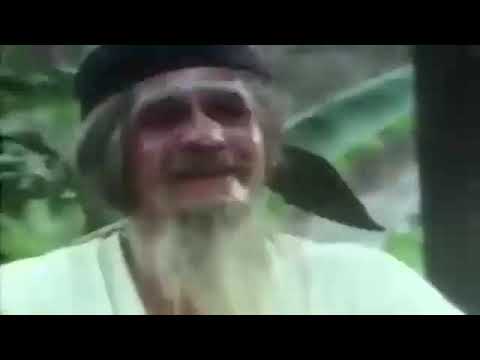 Sengatan Satria Beracun   FULL MOVIE