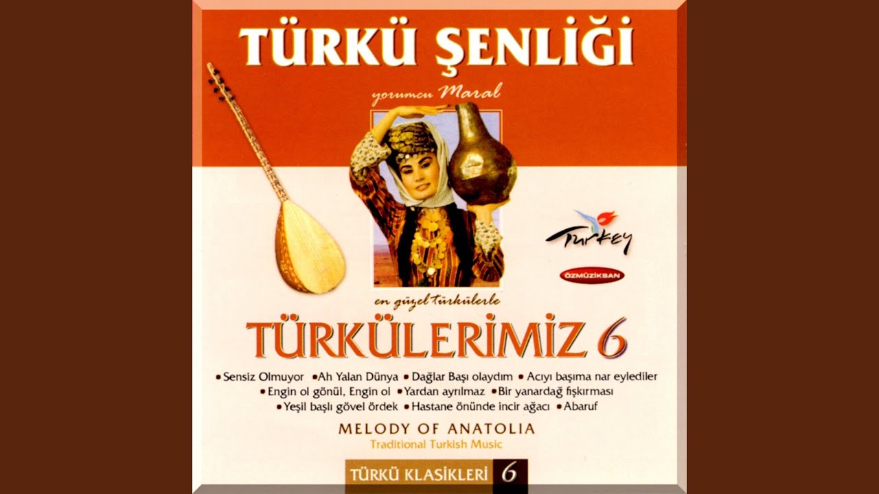 Sensiz Olmuyor