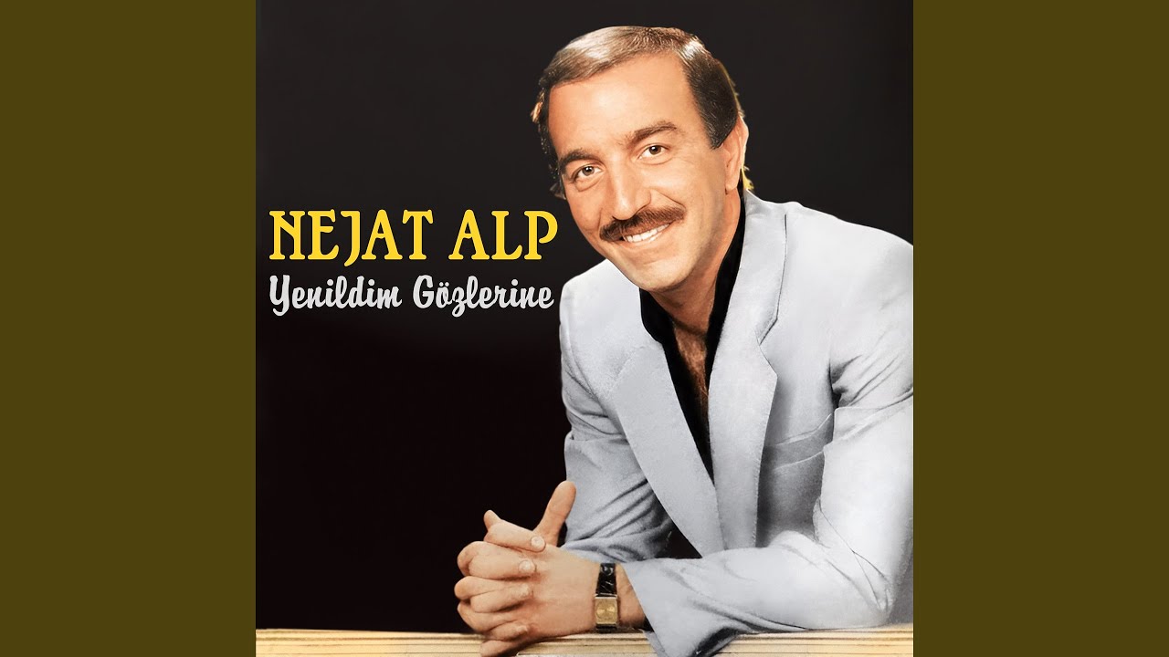 Sensizliğe Alışamadım