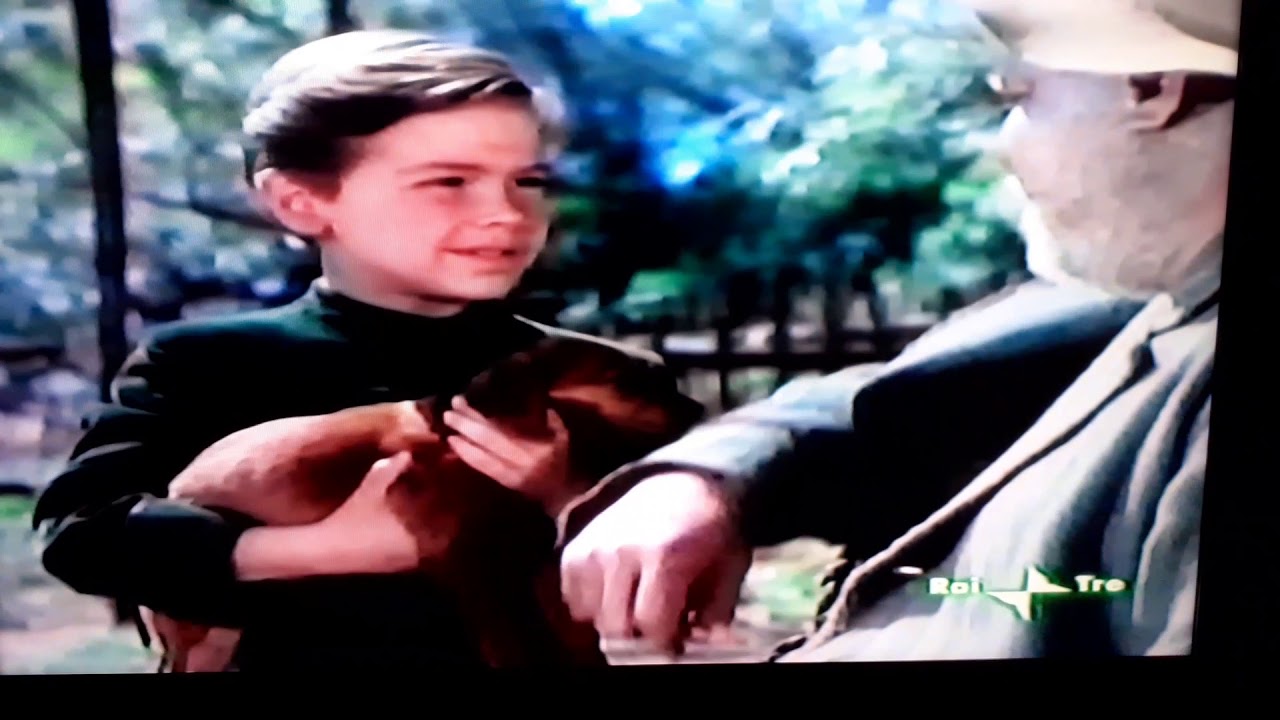 Sequenza pubblicitaria durante il film Disney 