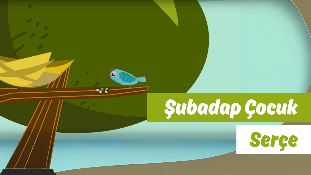 Serçe | Video | Şubadap Çocuk
