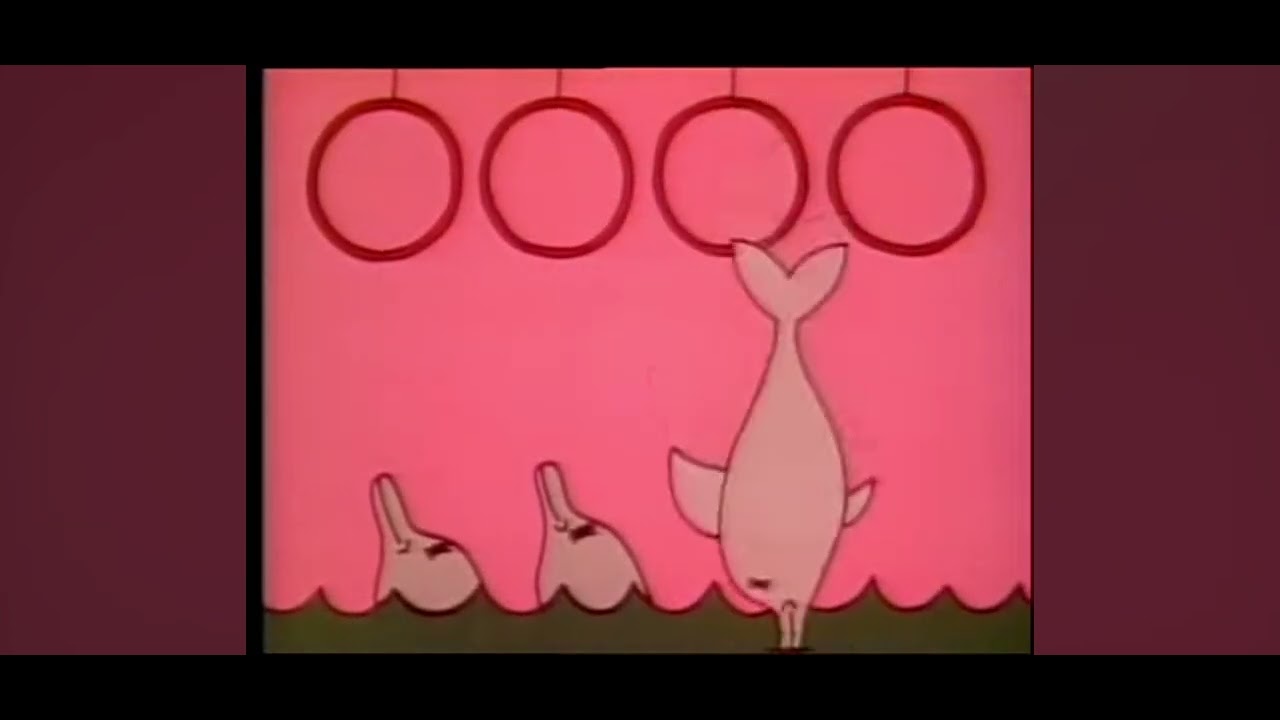 sesame street 4 dolphins