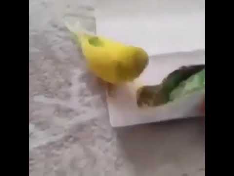 sevdiklerinizi incitmiyin incitdiyinizde pesman olacaqsiniz