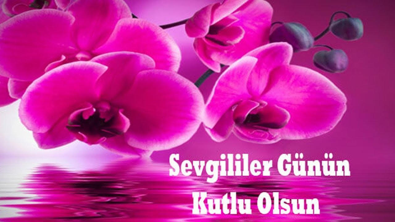 Sevgililer Günü Mesaji