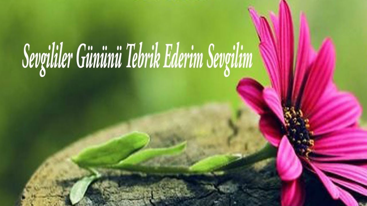 Sevgililer Günü Resimli Mesajlar
