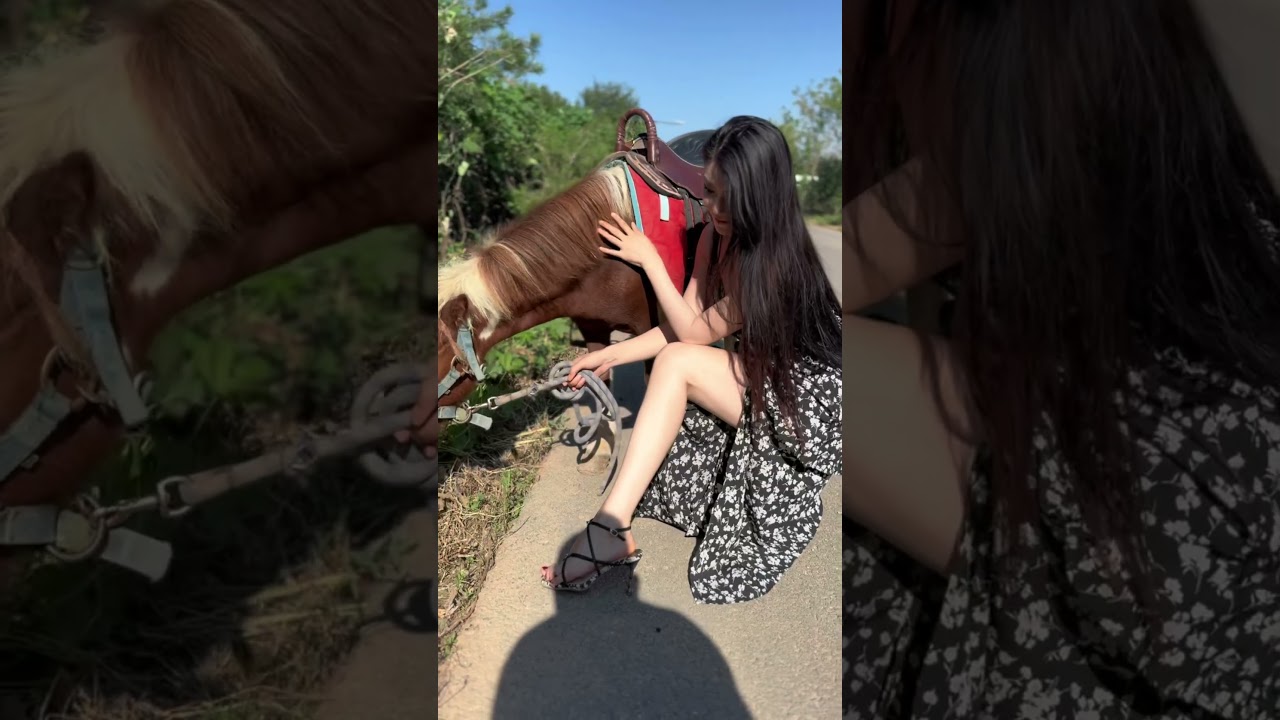 Sexy & Funny Pony Moments !! Training and Riding Pony !! 1133