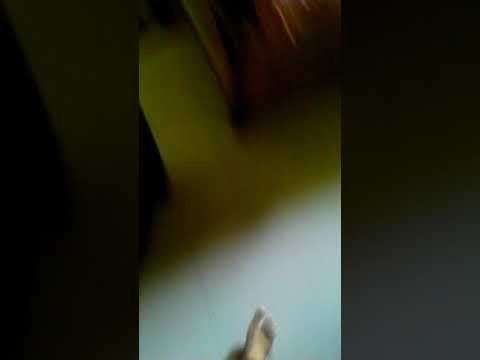 Sexy indian maid