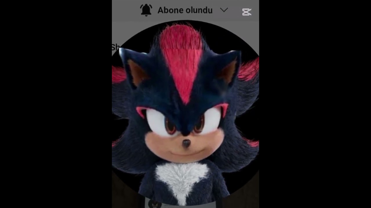 Shadowa edıt hemde sonadow