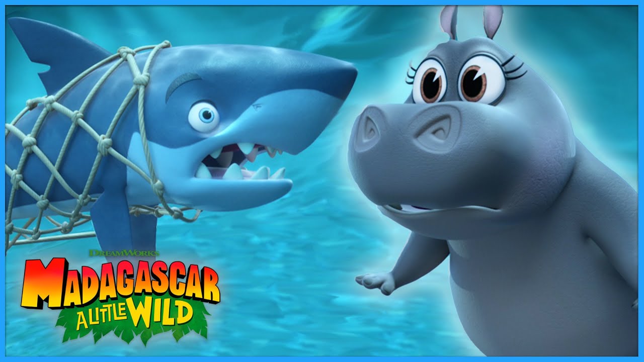 Shark Rescue Mission 🦈 | DreamWorks Madagascar