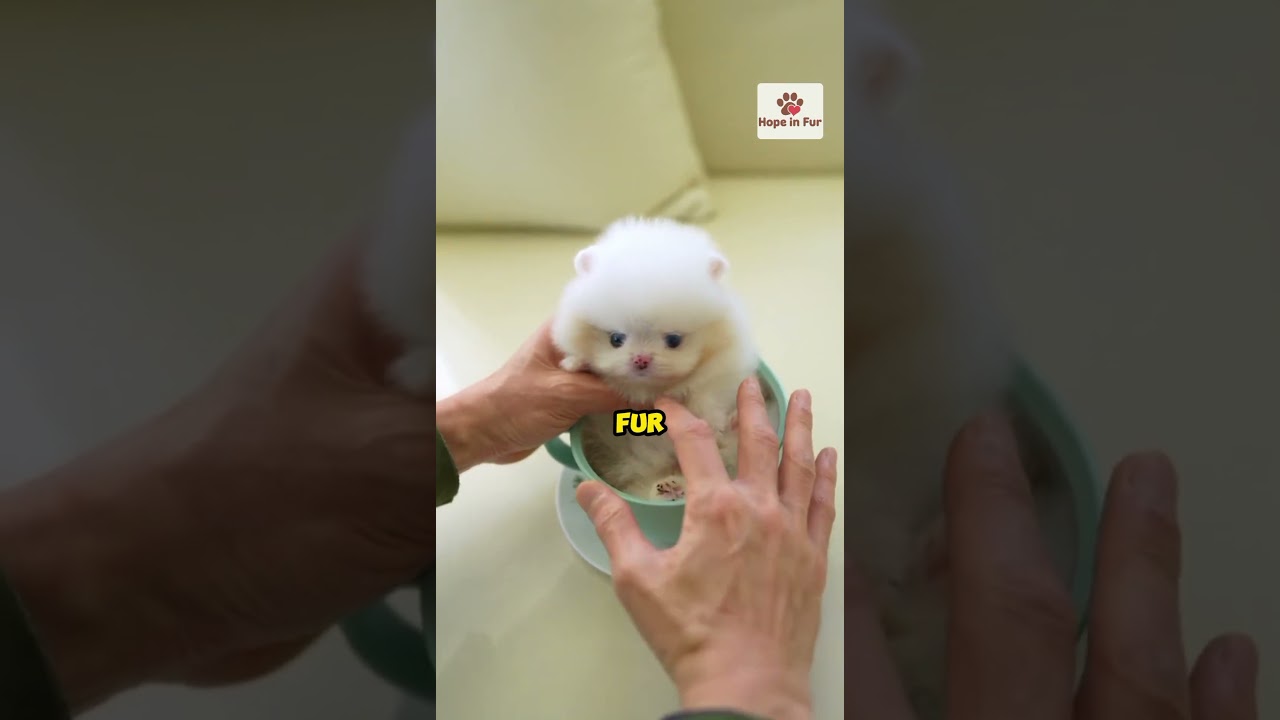She heard a cry in the bush and found a miracle #animals #rescue #animalrescue