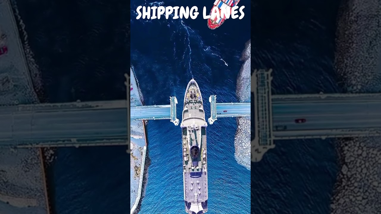 Shipping Lanes Amazing the ship #shorts