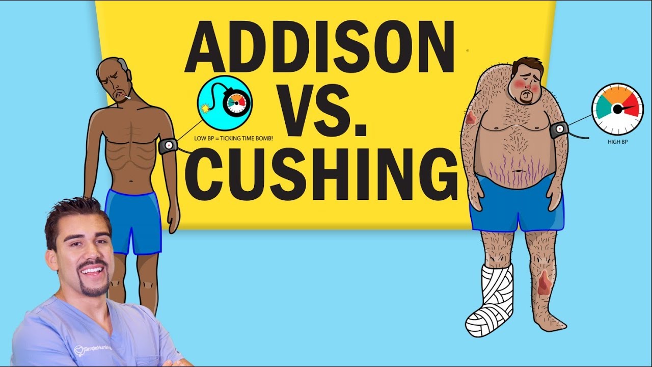 Short Addisons vs. Cushing's Disease Video