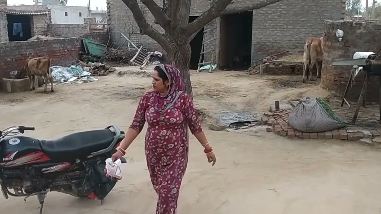 Short Vidio Punjabi Women 👌Shorts Vidio || Happy Vlog ||