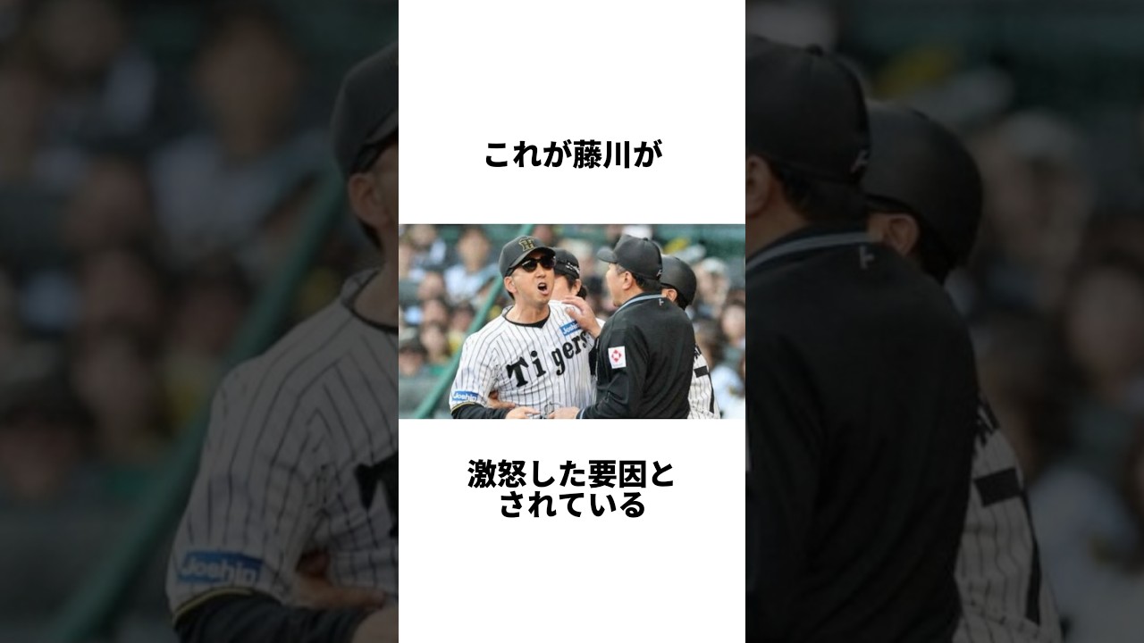 『元チームメイトの新井貴浩と藤川球児の大喧嘩』について　#shorts #プロ野球 #野球 #阪神　#広島　#藤川球児　#新井貴浩　#坂本誠志郎　#岡本駿　#乱闘