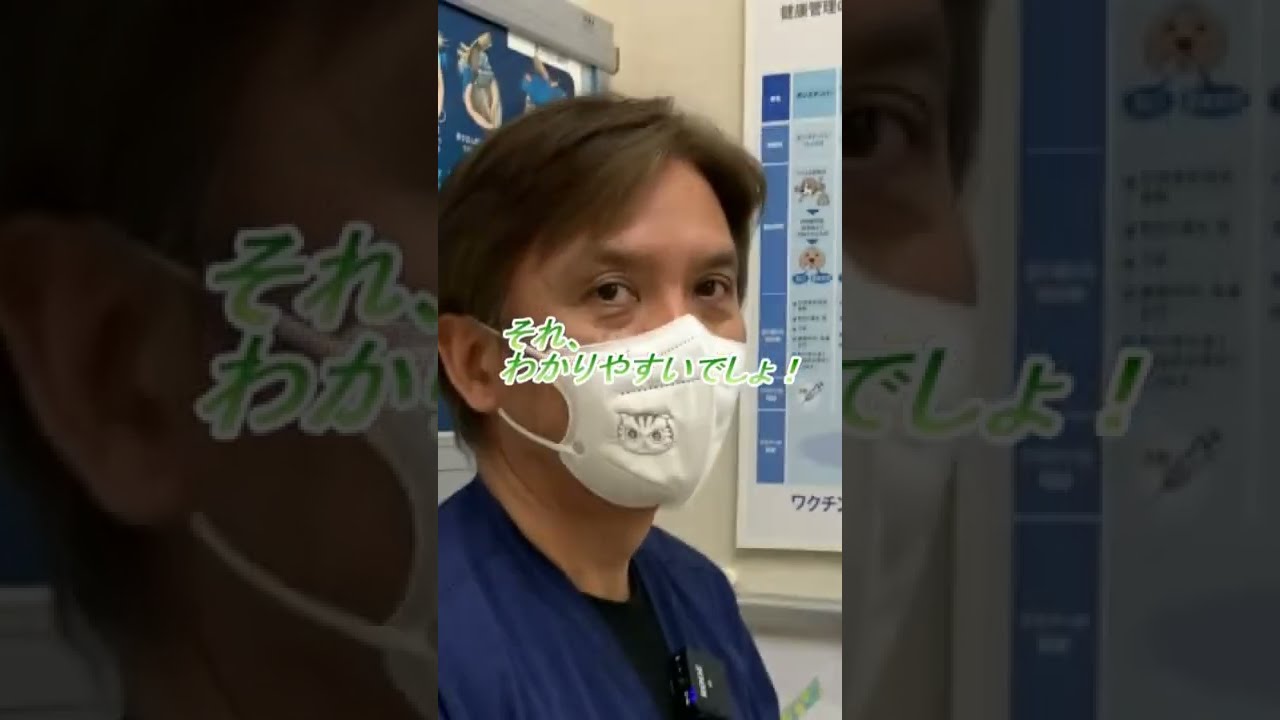 ワクチンで防げる怖い感染症（予告編）＃Shorts　＃獣医師解説