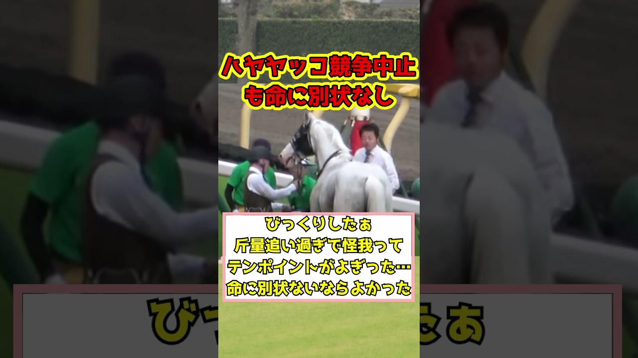 【競馬反応集】ハヤヤッコ目黒記念競争中止#shorts