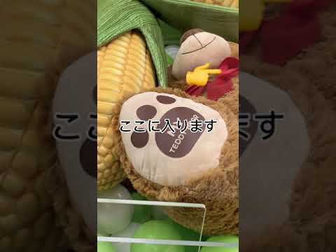【shorts】クレーンゲーム確率無視で強引にGET！　Shooting at a Japanese arcade 【ドリームキャッチャー】短い動画Short video