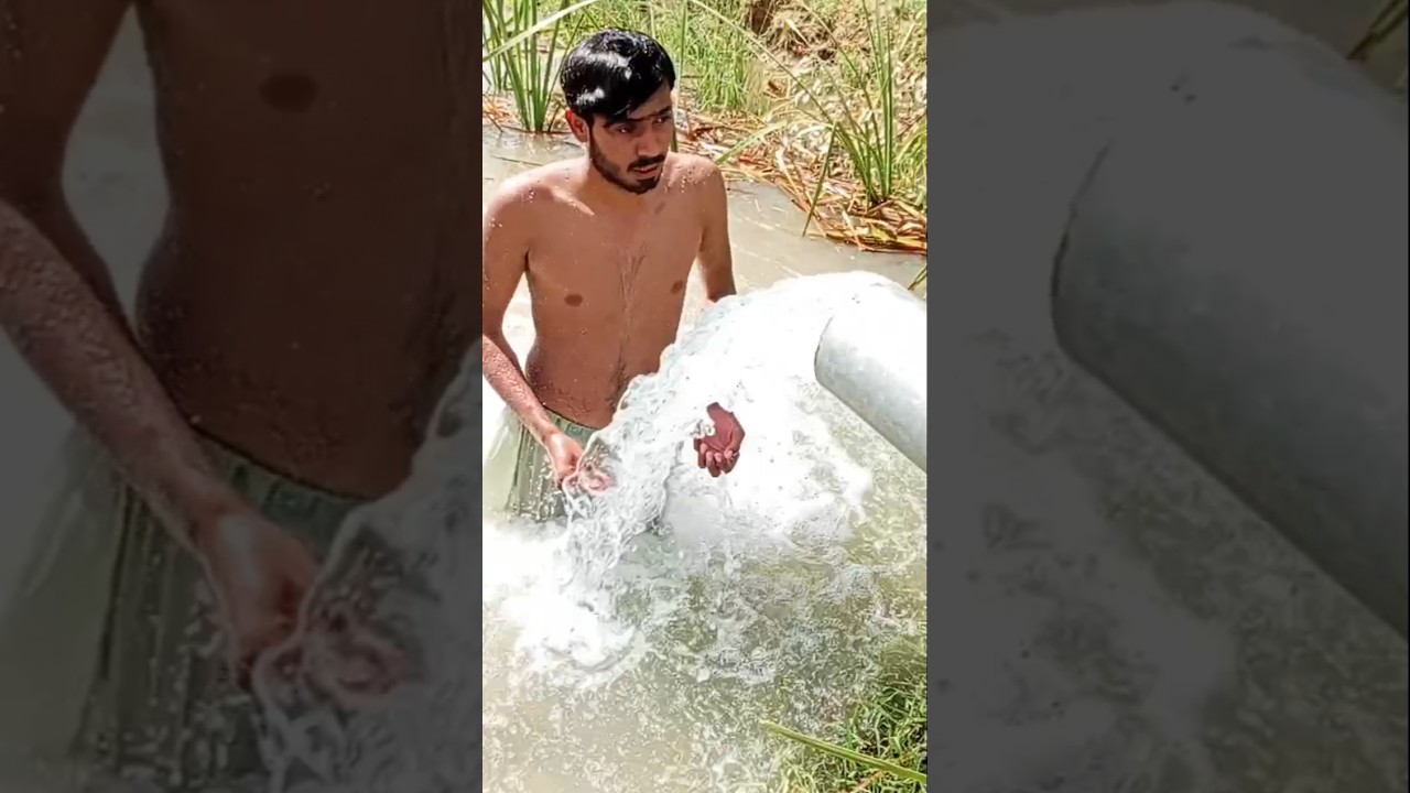 #shorts#youtubeshorts #bathing #swimming #shortsviral