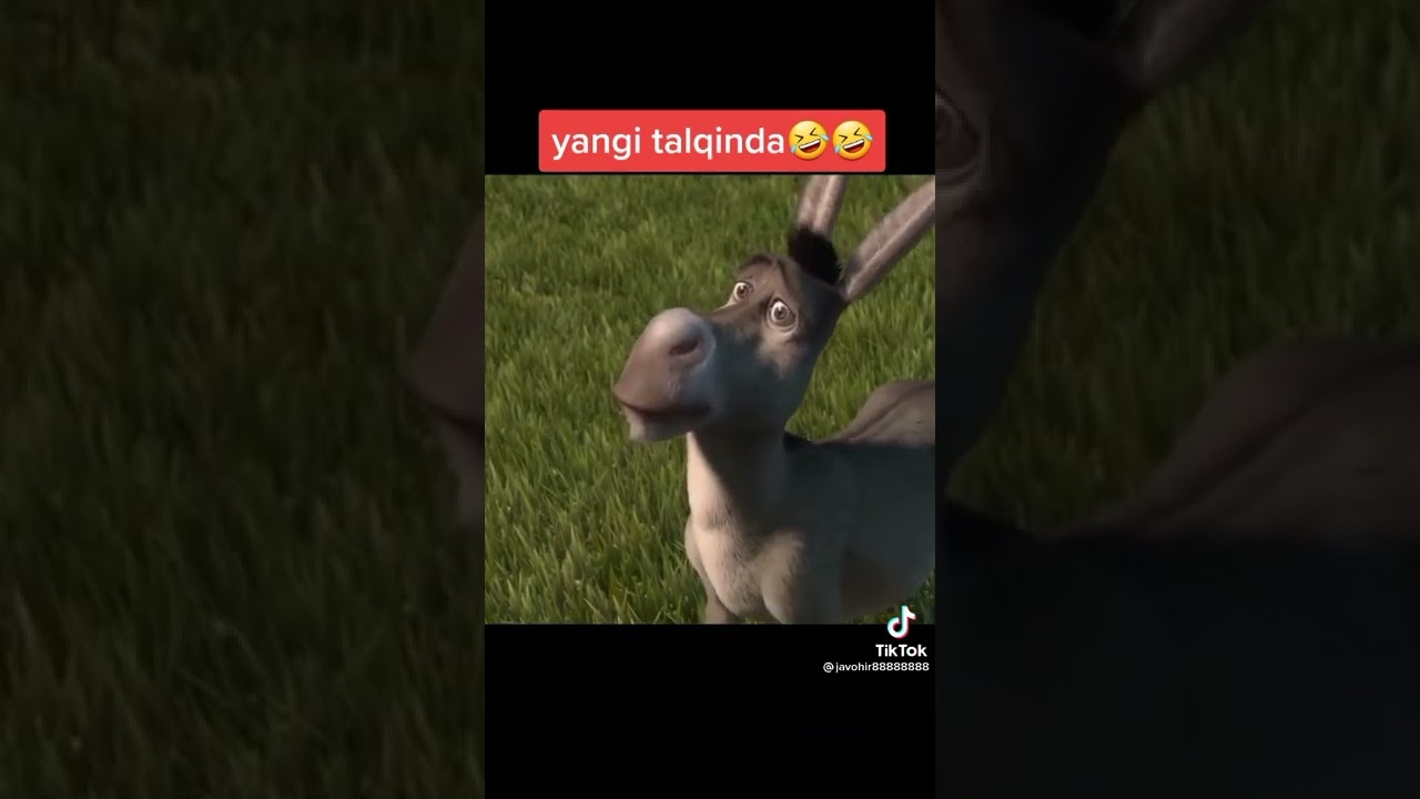 SHREK YANGISI MENAM BORAY 🤣