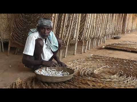 silk worm reshme hulu farming KISAN TV
