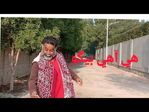 Sindhi comedy, bego 2020