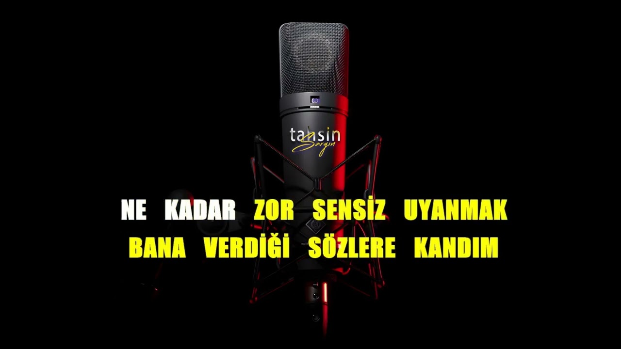 Siyam - Nasıl Gittin / Karaoke / Md Altyapı / Cover / Lyrics / HQ