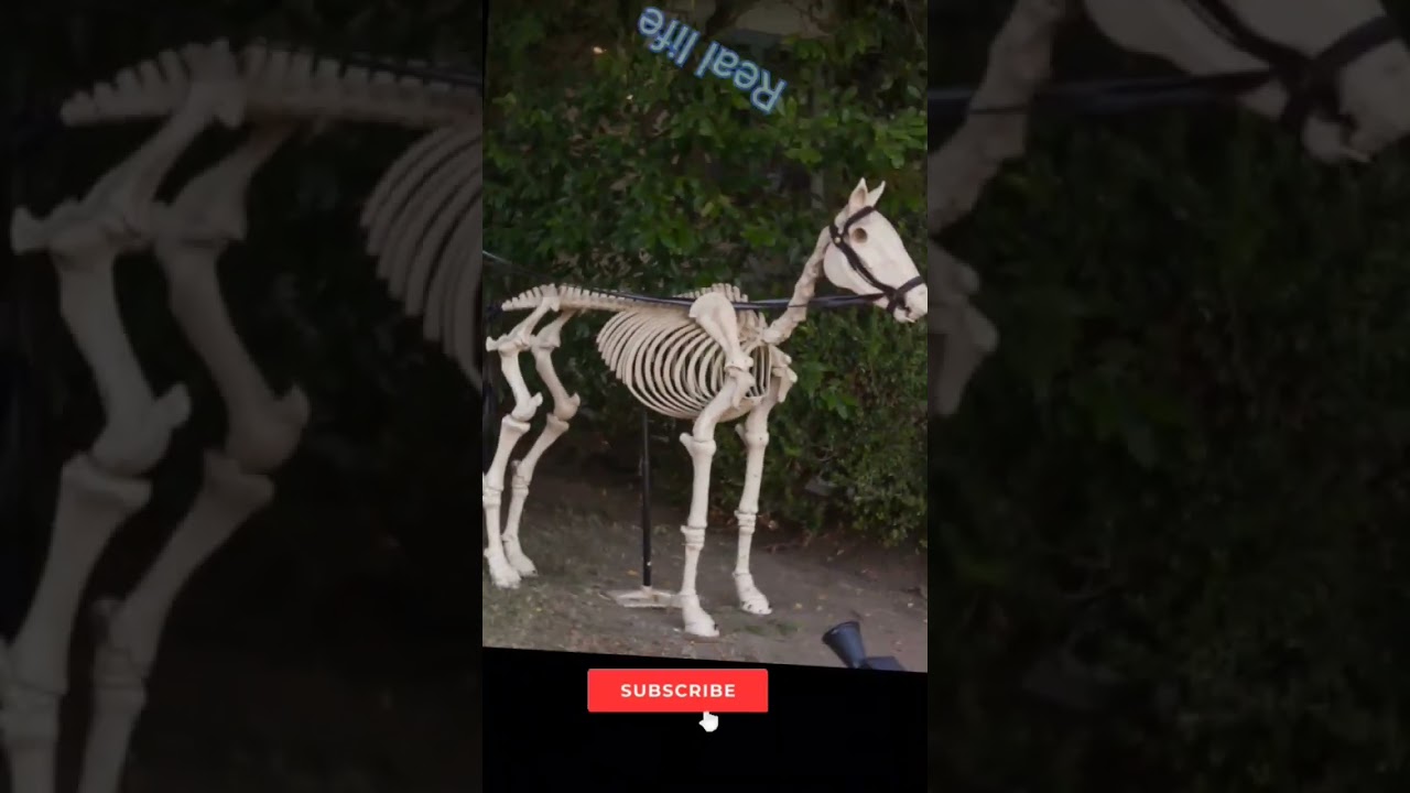 skeleton horse real life vs Minecraft part #76 || #ytshorts #shorts