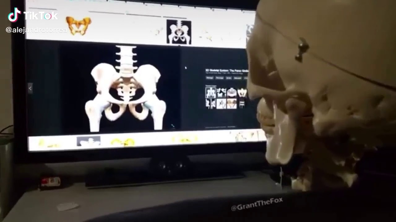 Skeleton Meat