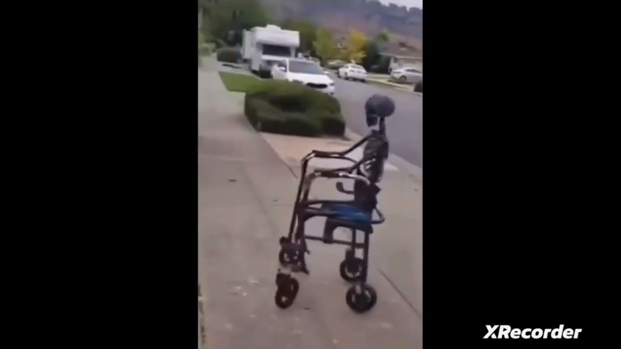 Skeleton On a Wheelchair